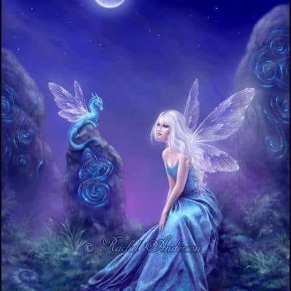 Shop if you want it! Buy it! - Picture 15 of 16